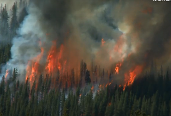 Advanced Communication Tech at Cameron Peak | All Things FirstNet